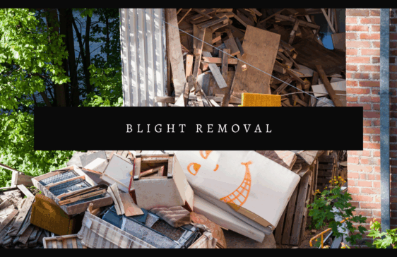 Blight Removal 562x364